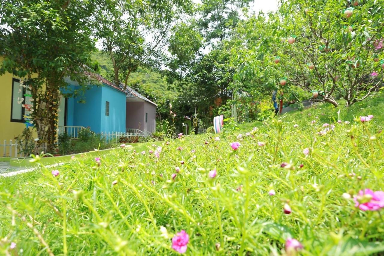 Windy Hill Catba Homestay Hai Phong Exteriör bild