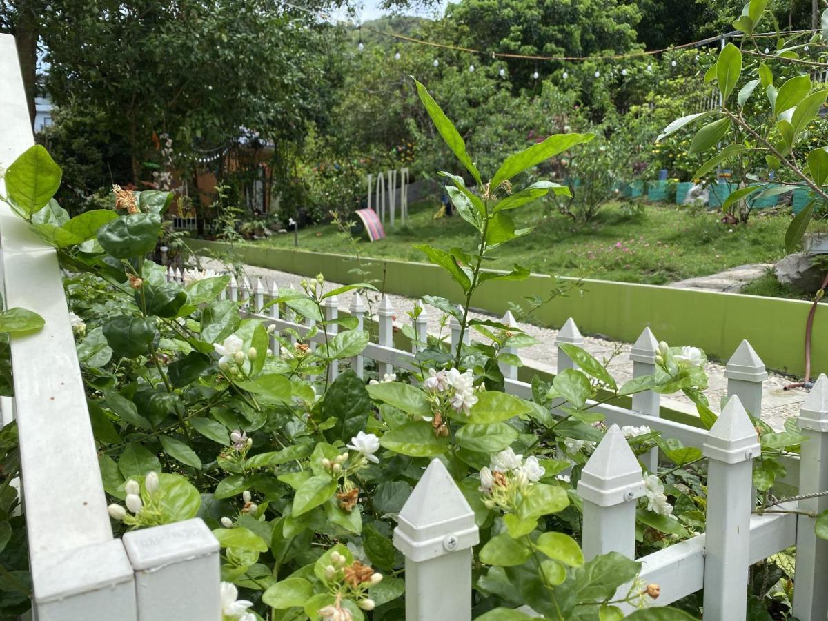 Windy Hill Catba Homestay Hai Phong Exteriör bild